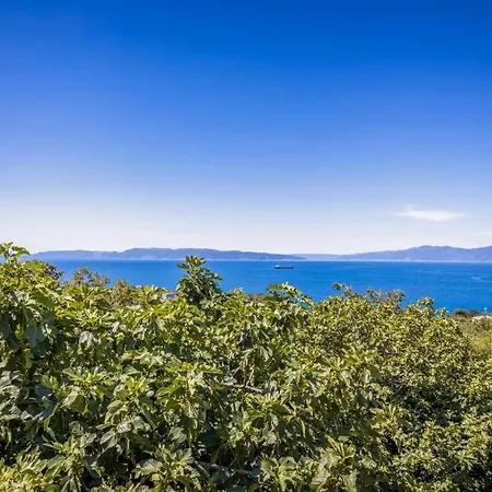 Amazing In With 1 Bedrooms And Wifi Apartment Kostrena